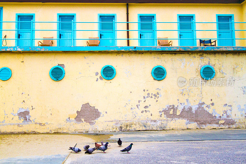意大利Viareggio海滩附近五颜六色的更衣室，里面有鸽子
