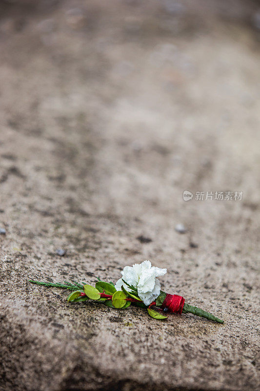 雨中留花