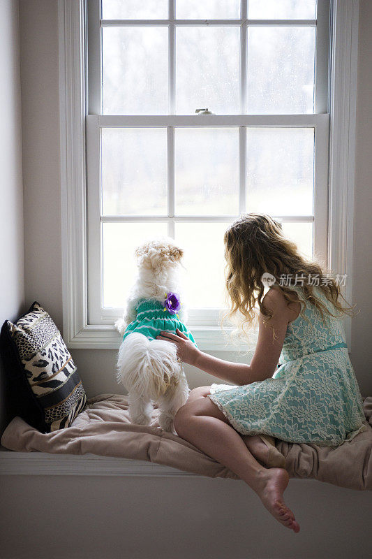 女孩和狗往窗外看