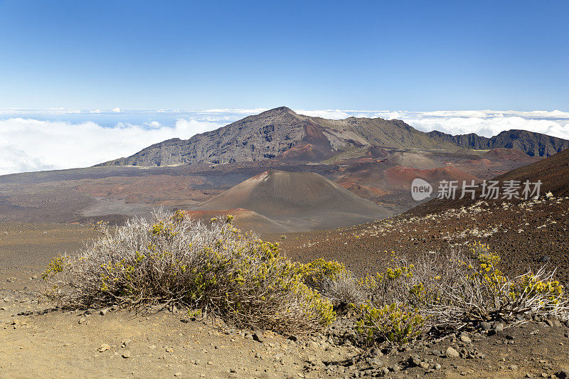 哈雷阿卡拉火山口,毛伊岛