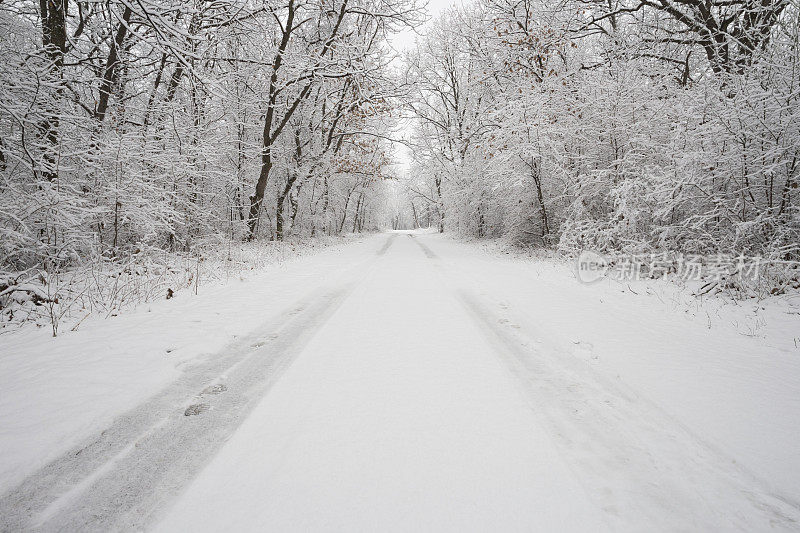 穿过森林的路在冬天被雪覆盖着