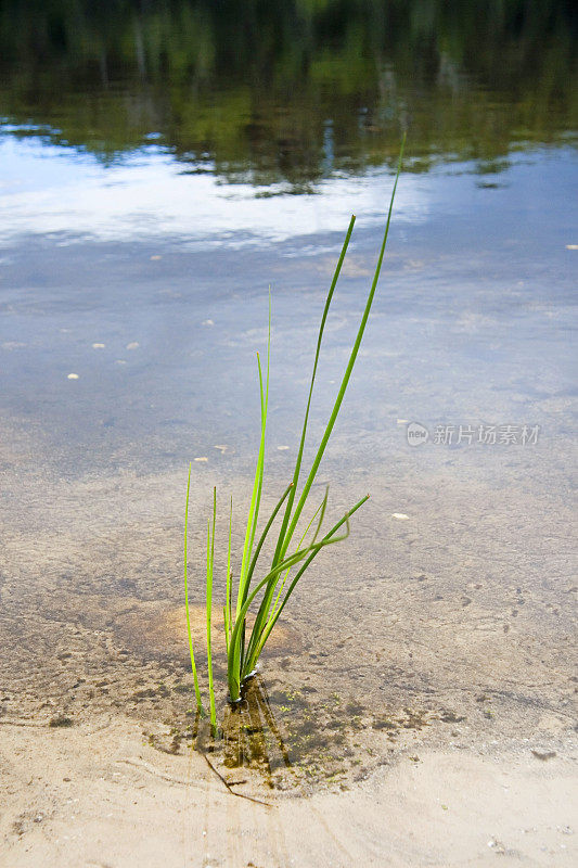 湖的生活