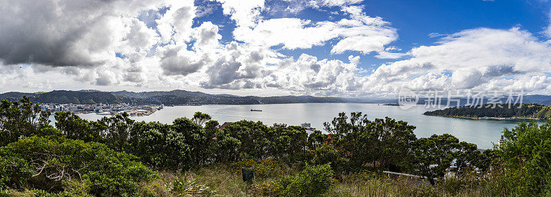 俯瞰新西兰惠灵顿的全景