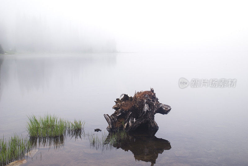 多雾的早晨