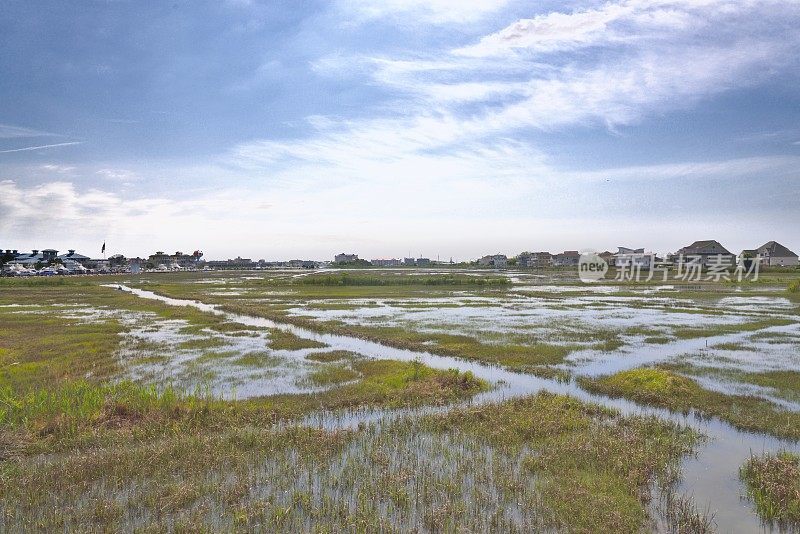 海洋城沼泽