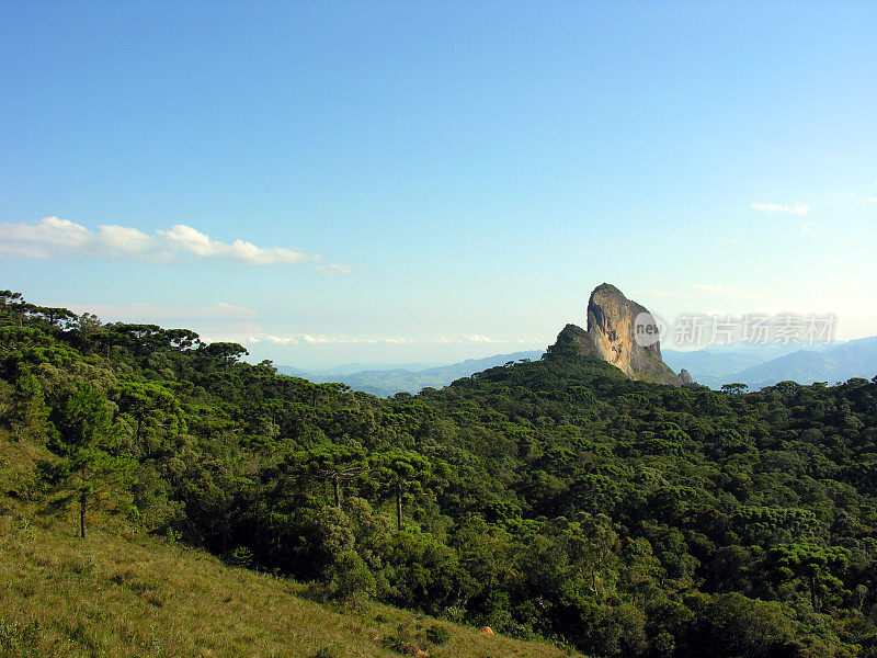 乔杜岛坎波斯市附近的巴西森林和山区