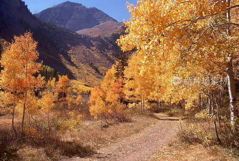 在犹他州圣丹斯瓦萨奇山附近的秋天，通过阿斯彭格罗夫的土路与Timpanogos山在背景