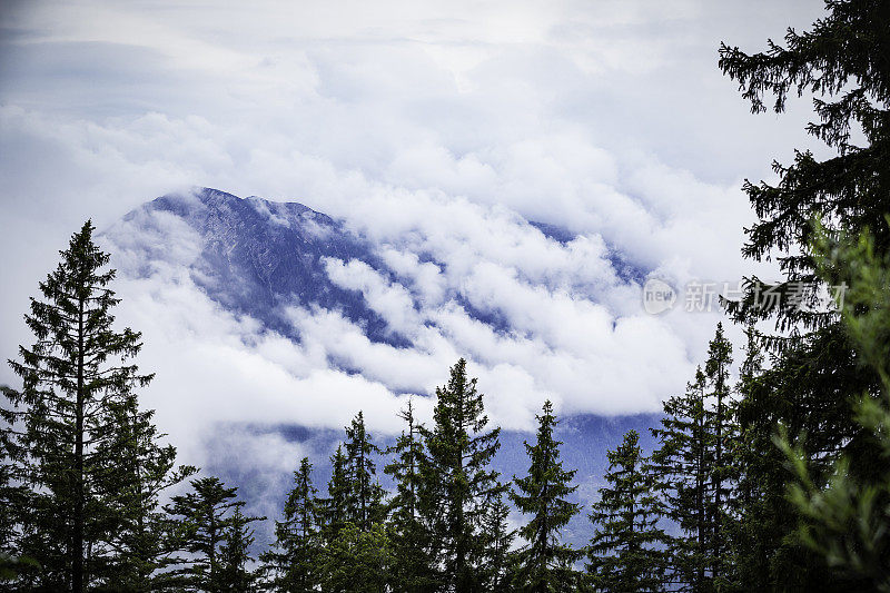 云中阿尔卑斯山山脉的全景