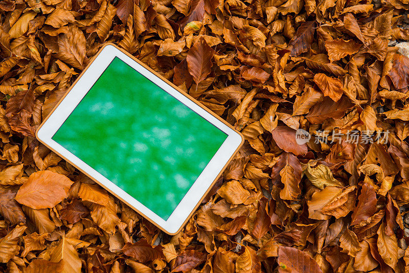 数字平板电脑与绿色屏幕躺在棕色的树叶在秋天的森林，欧洲