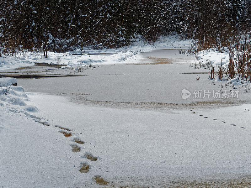 雪地上的脚印