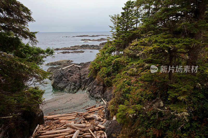 野生太平洋步道