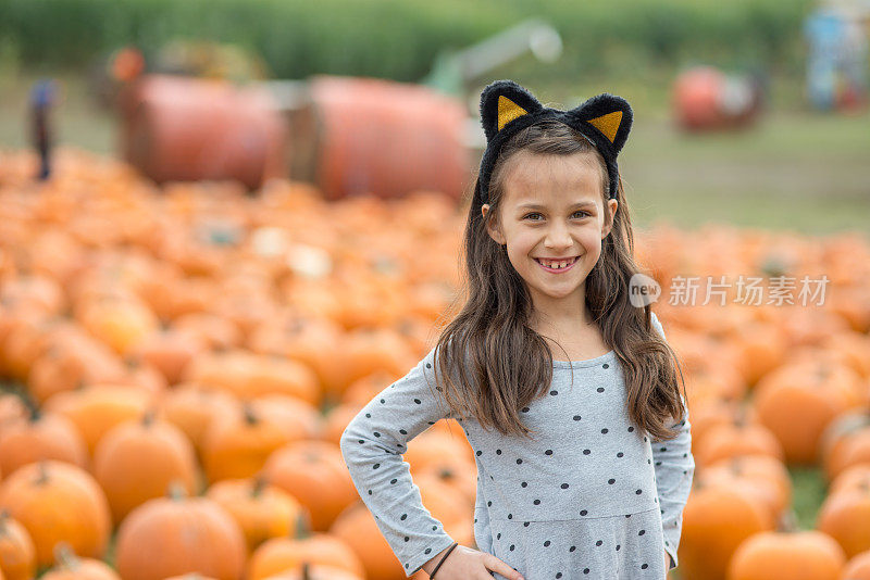 小女孩戴着猫耳朵在南瓜农场摆姿势