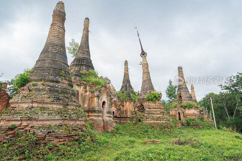 缅甸茵莱湖，被植物覆盖的古庙