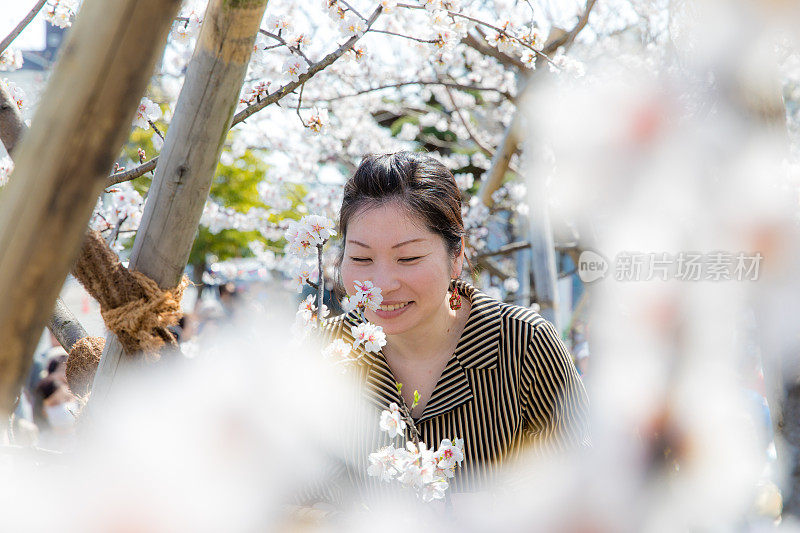 日本女人拍照的花