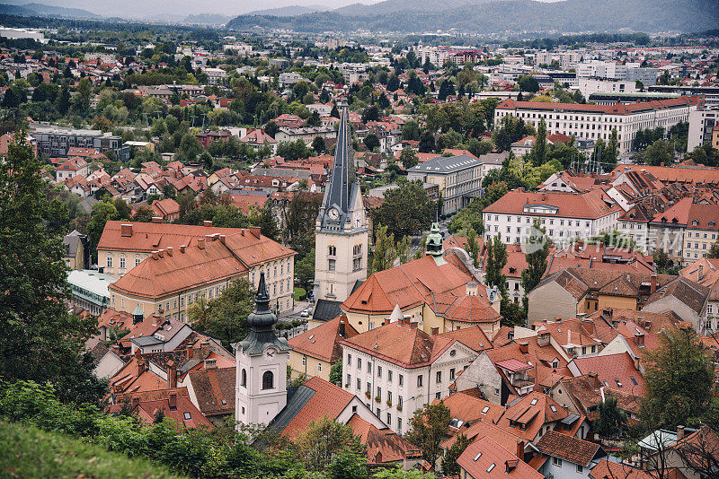 总统的告别,Slovenia