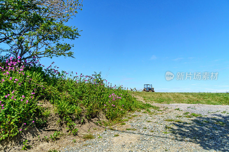 拖拉机停在田野里