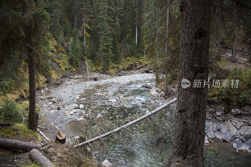 约翰斯顿峡谷:加拿大阿尔伯塔省的落基山脉