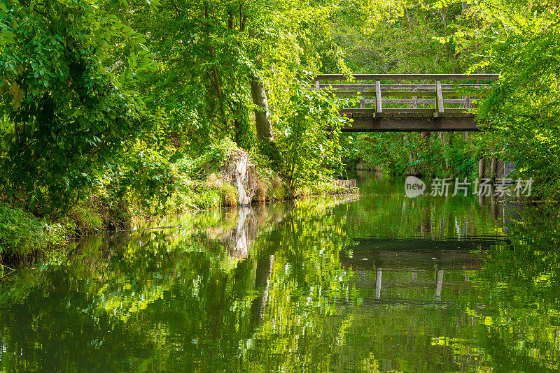 斯普雷瓦尔德Lübbenau堡典型的森林河流景观，在阳光明媚的秋天用桥