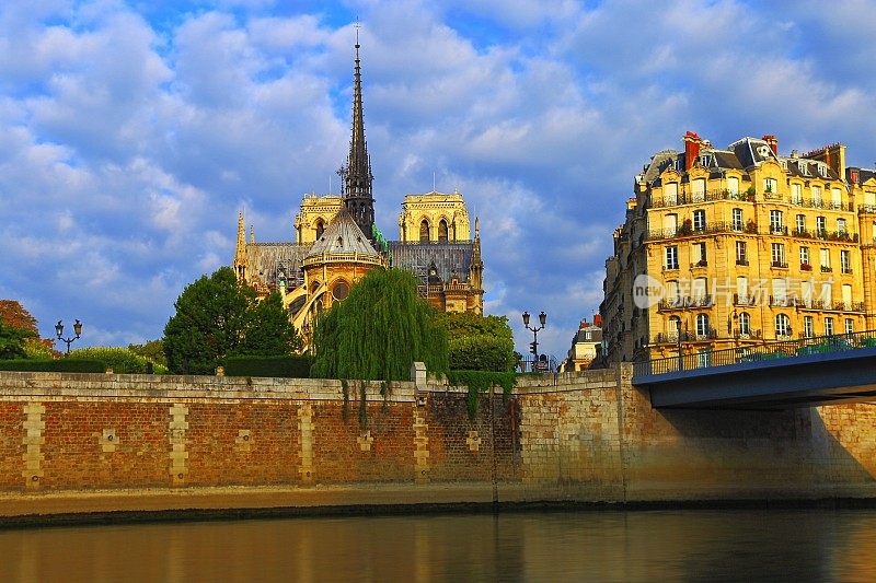 巴黎圣母院大教堂后视图在塞纳河日出-巴黎，法国