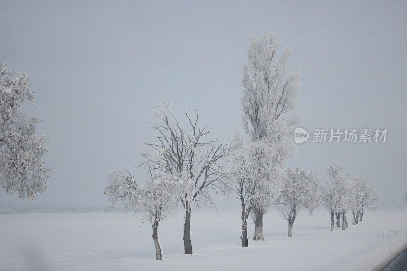 冬天雪风景画
