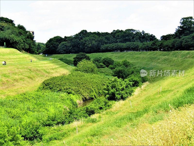 日本。五月大会以运河。不同深浅的绿色。