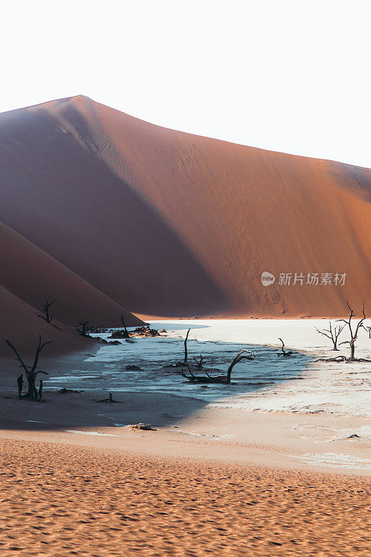 纳米比亚日出时干涸的Deadvlei湖上枯死的树木