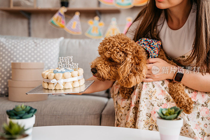 年轻女子和她的狗庆祝宠物的生日