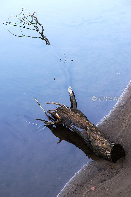河中干枯的老树枝，水中倒影着蓝天