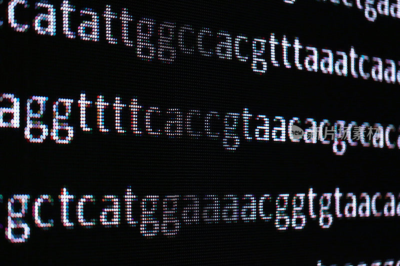 大LED屏幕上的DNA密码