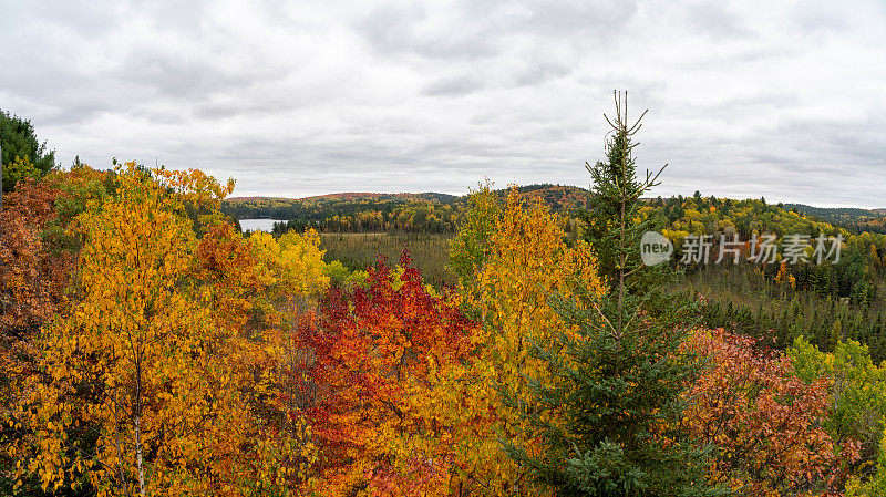 加拿大安大略省，阿尔冈昆省公园游客中心，挪威湖的秋色