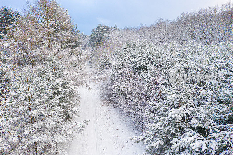 鸟瞰被冰雪覆盖的森林包围的道路。