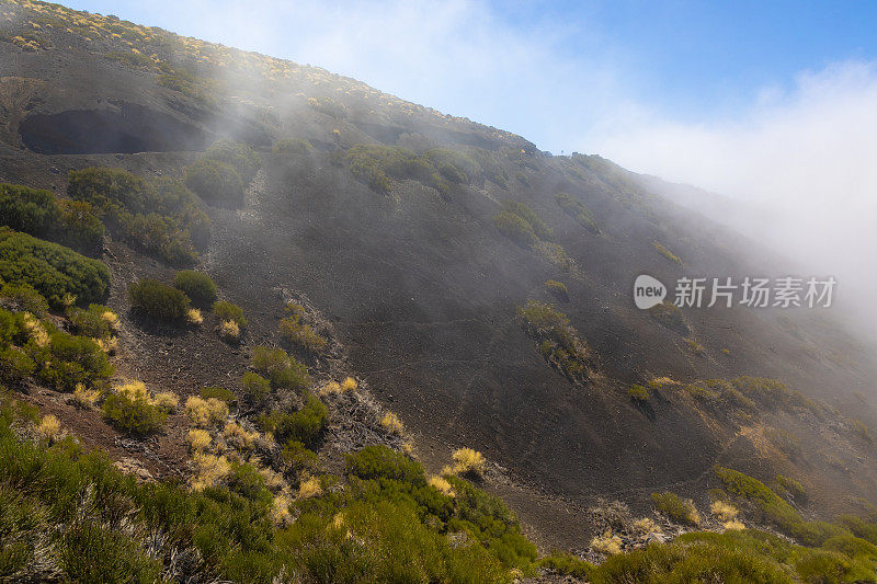 泰德国家公园，拉皮利斜坡。多色火山岩。特内里费,加那利群岛。雾漫山。