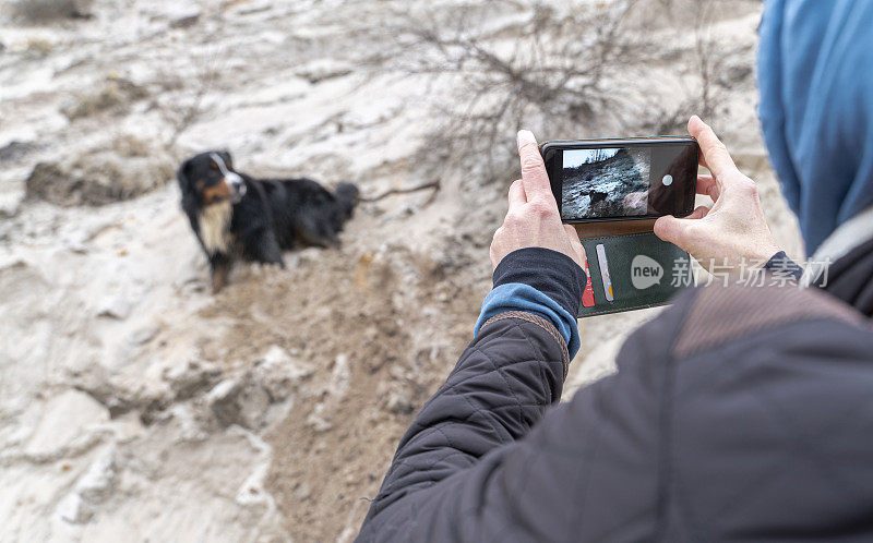 在一个凉爽的春日，在沙滩上，戴着蓝色兜帽的主人正在用智能手机给她的伯尔尼山狗拍照。所有者在前景中。狗是一个模糊的背景。