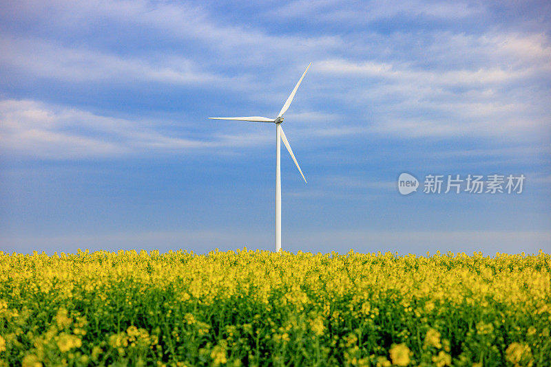 春季农用地上的风力发电机