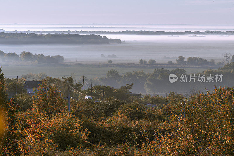 神秘的雾在秋天的山坡上，雾，树木都是湿的，潮湿的雾森林美丽的景观奥兰内斯特摩尔多瓦乡村全景清晨河德涅斯特。