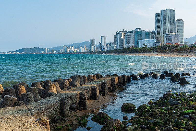 芽庄海滩防波堤上的藻类苔藓