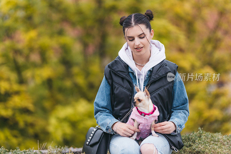 漂亮的年轻女子和一只吉娃娃狗，彩色背景