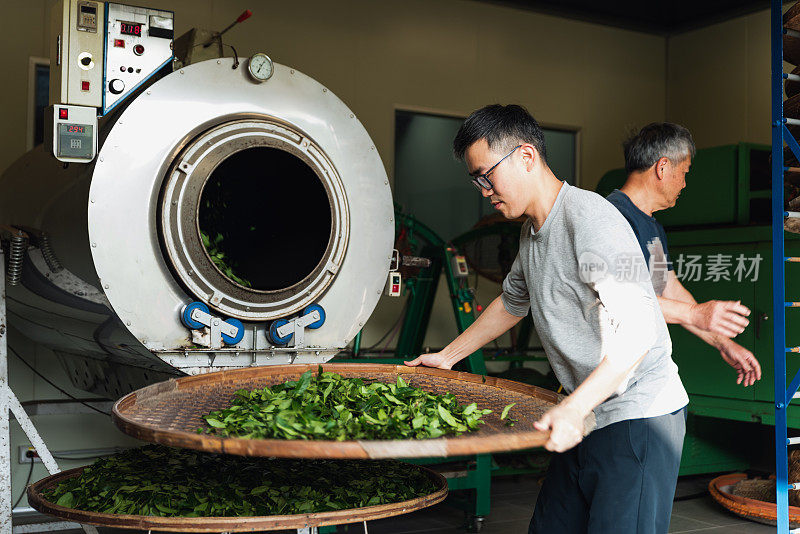 捕捉宁静的氛围，一个茶厂与茶师傅热干燥茶