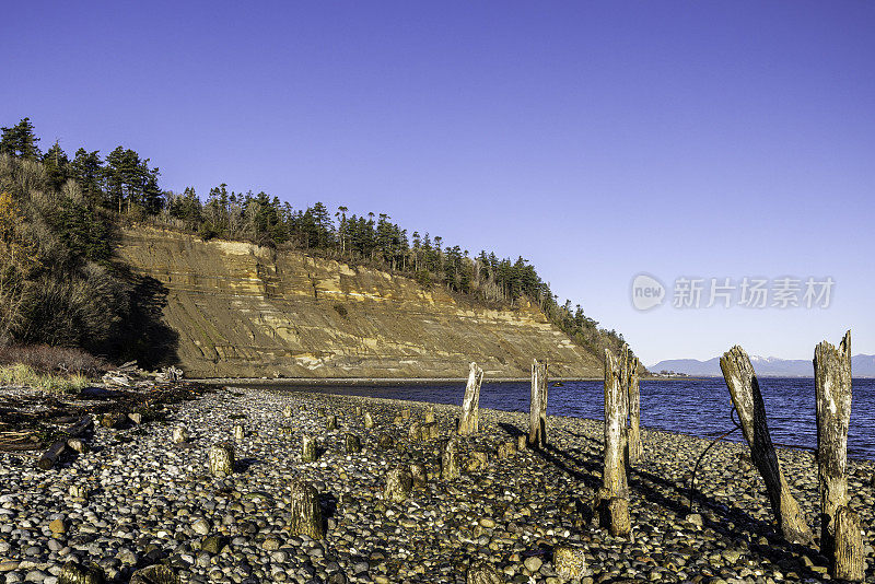 华盛顿州罗伯茨角边界湾的百合角粘土悬崖