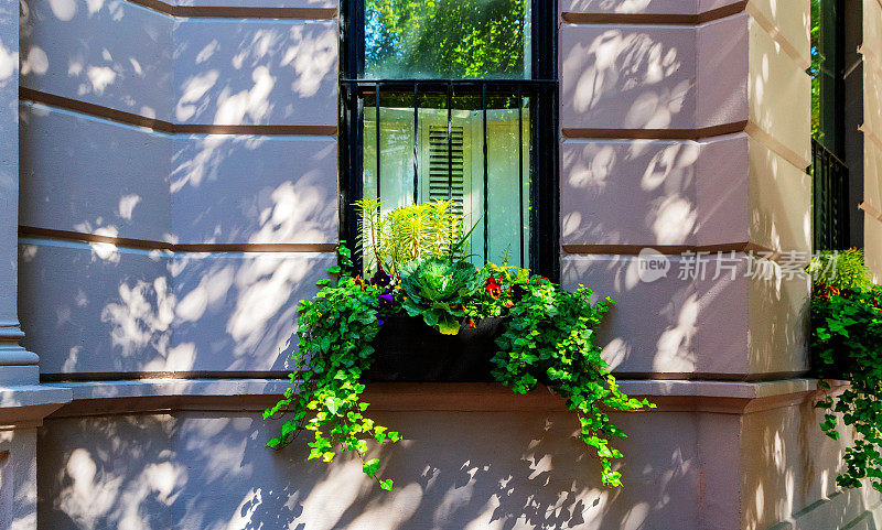 外窗下种植窗箱——马萨诸塞州波士顿