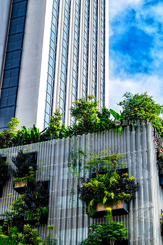 马来西亚吉隆坡的现代建筑和植被