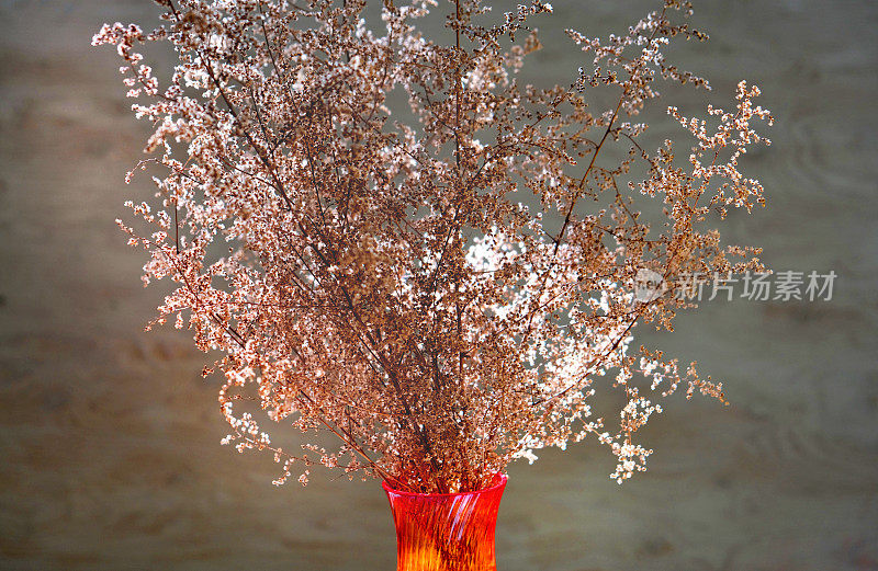 红橙花瓶与干花在中性的背景。简约现代的室内装饰理念。侘寂式美学。