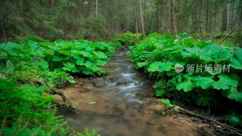 溪流之水与自然