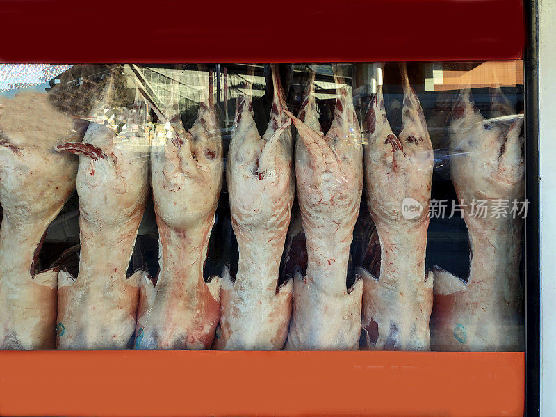 安卡拉的肉店里堆满了火鸡的尸体