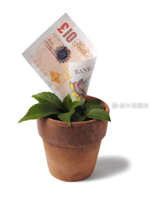 在花盆里种十镑钞票