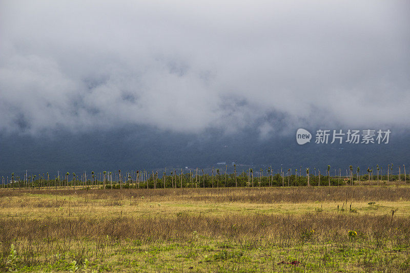 中国云南丽江风光