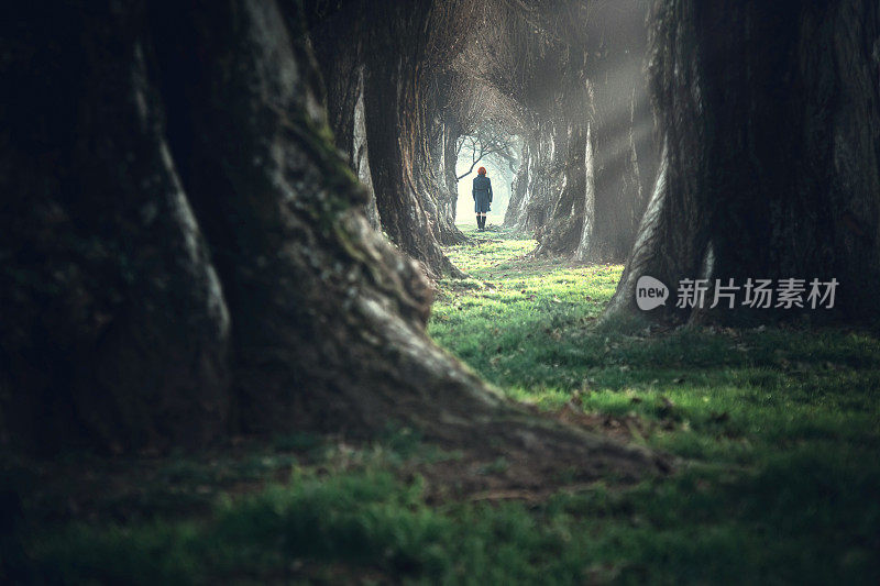 一个女人走在神秘的森林深处