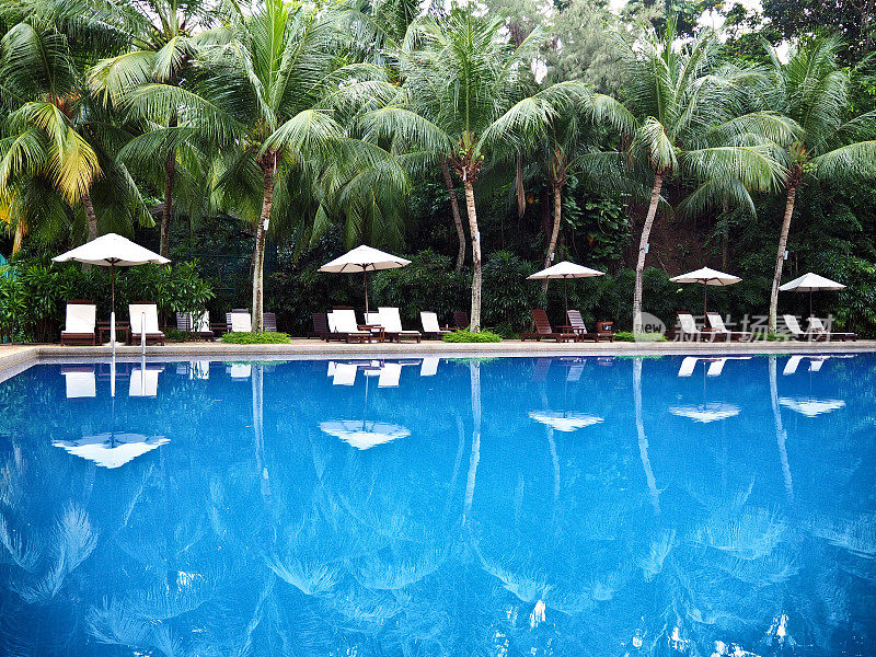 游泳池在热带与美丽的反射
