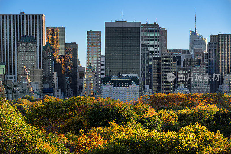 中央公园秋季树叶和曼哈顿中城摩天大楼，纽约