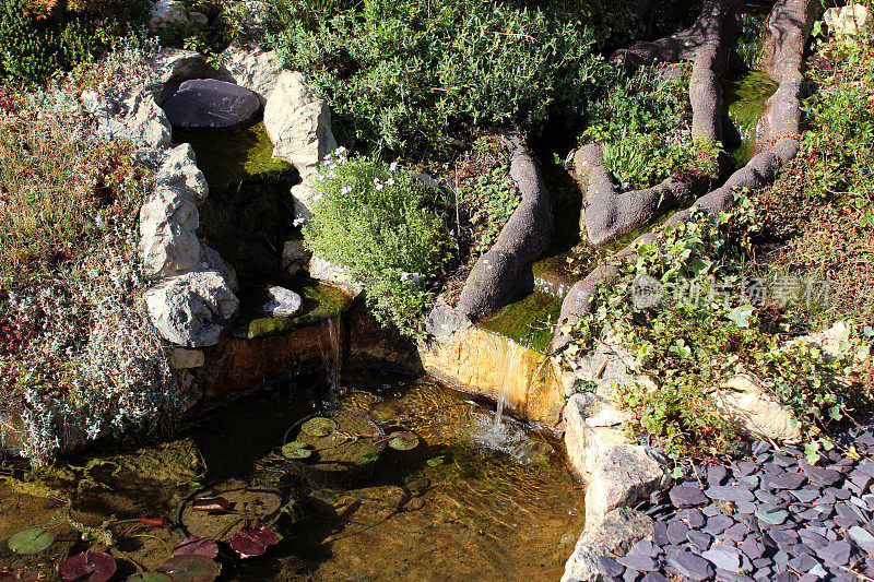 一个带有瀑布和假山的花园鱼塘的图像